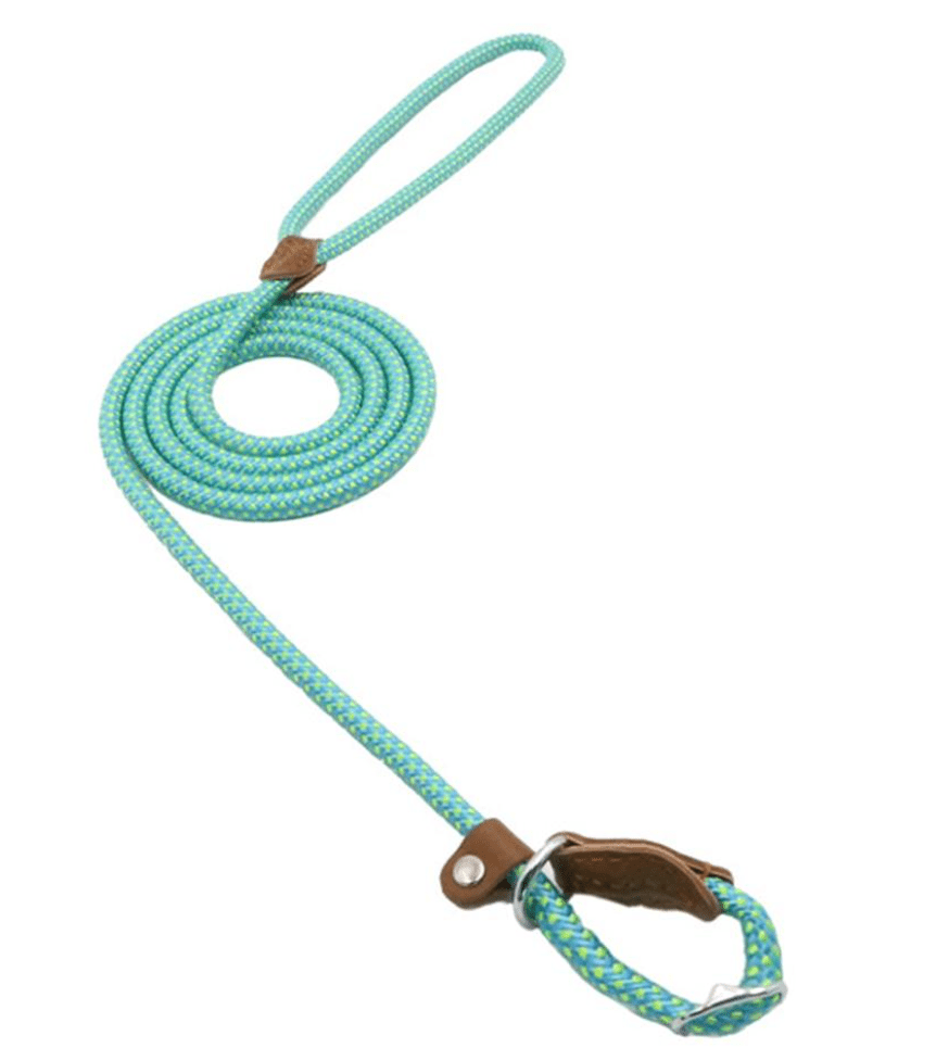 Nylon Pup Set - GreenroseAffiliates
