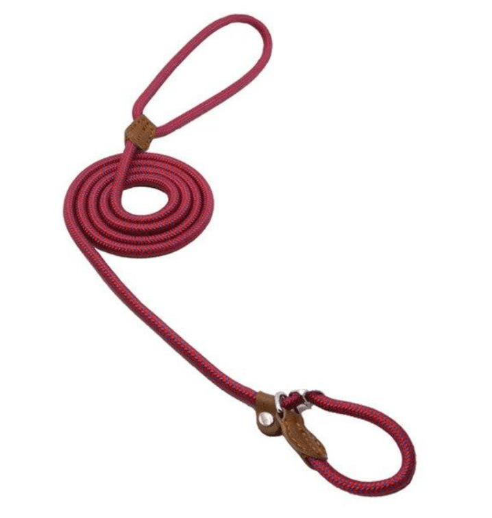 Nylon Pup Set - GreenroseAffiliates