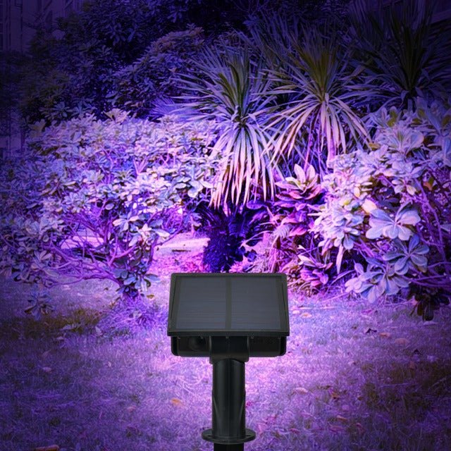 Solar Color - Changing Landscape Lights for Outdoors - GreenroseAffiliates