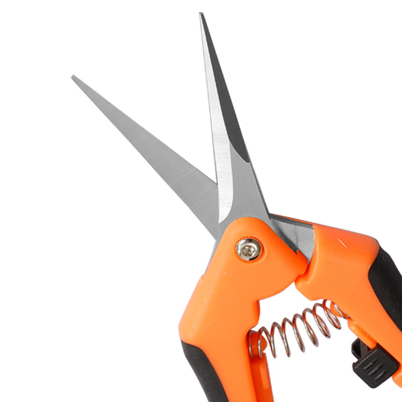 Powerful Pruning Shears for Grapes and Fruits Harvesting