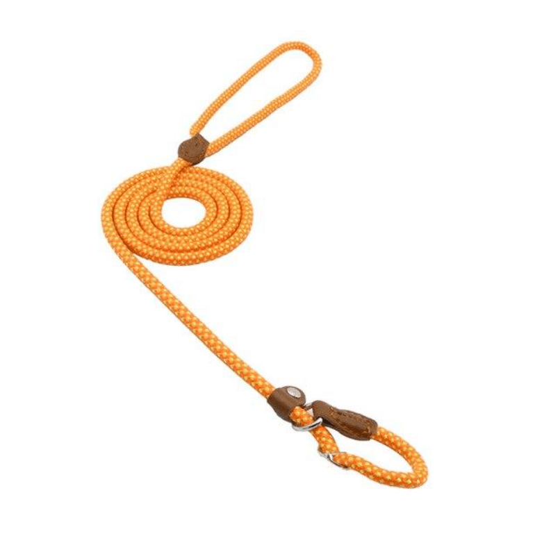 Nylon Pup Set - GreenroseAffiliates