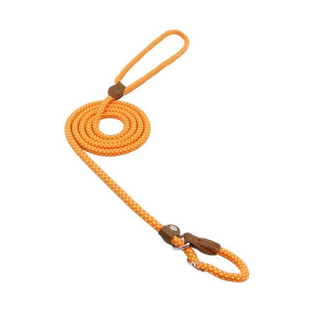 Nylon Pup Set - GreenroseAffiliates