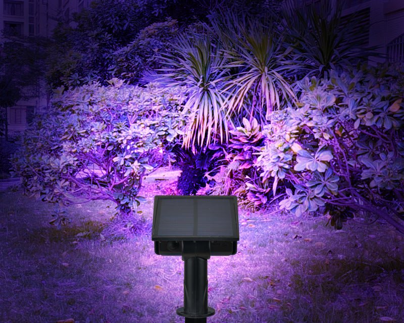 Solar Color - Changing Landscape Lights for Outdoors - GreenroseAffiliates