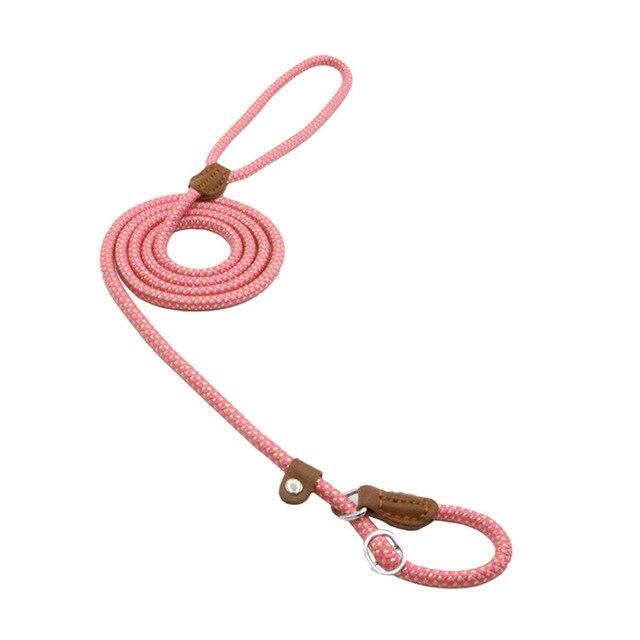 Nylon Pup Set - GreenroseAffiliates