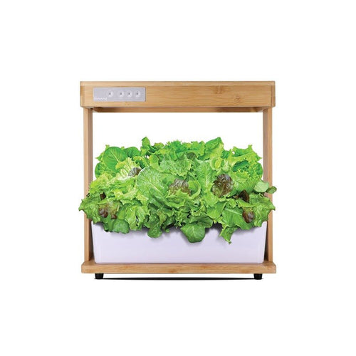 Bamboo Smart Indoor Planter with LED Grow Lights - GreenroseAffiliates