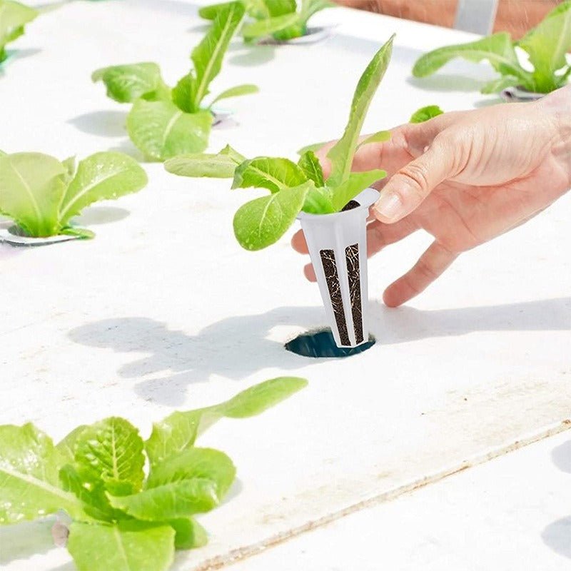 Hydroponic Vegetable Growing Basket Set - GreenroseAffiliates