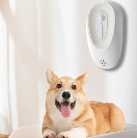 Pet Odor Eliminator for Litter Boxes - GreenroseAffiliates