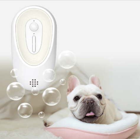 Pet Odor Eliminator for Litter Boxes - GreenroseAffiliates